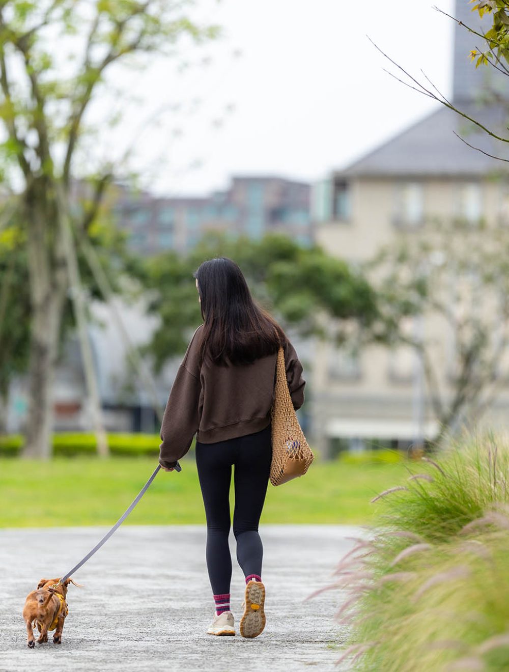 Woman walk with her dachshund dog at park